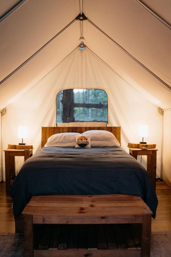 Treehouse Cozy Glamping Site Luxuszelt Branson